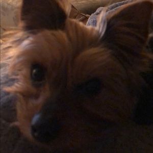 Meet your Posher, Valerie